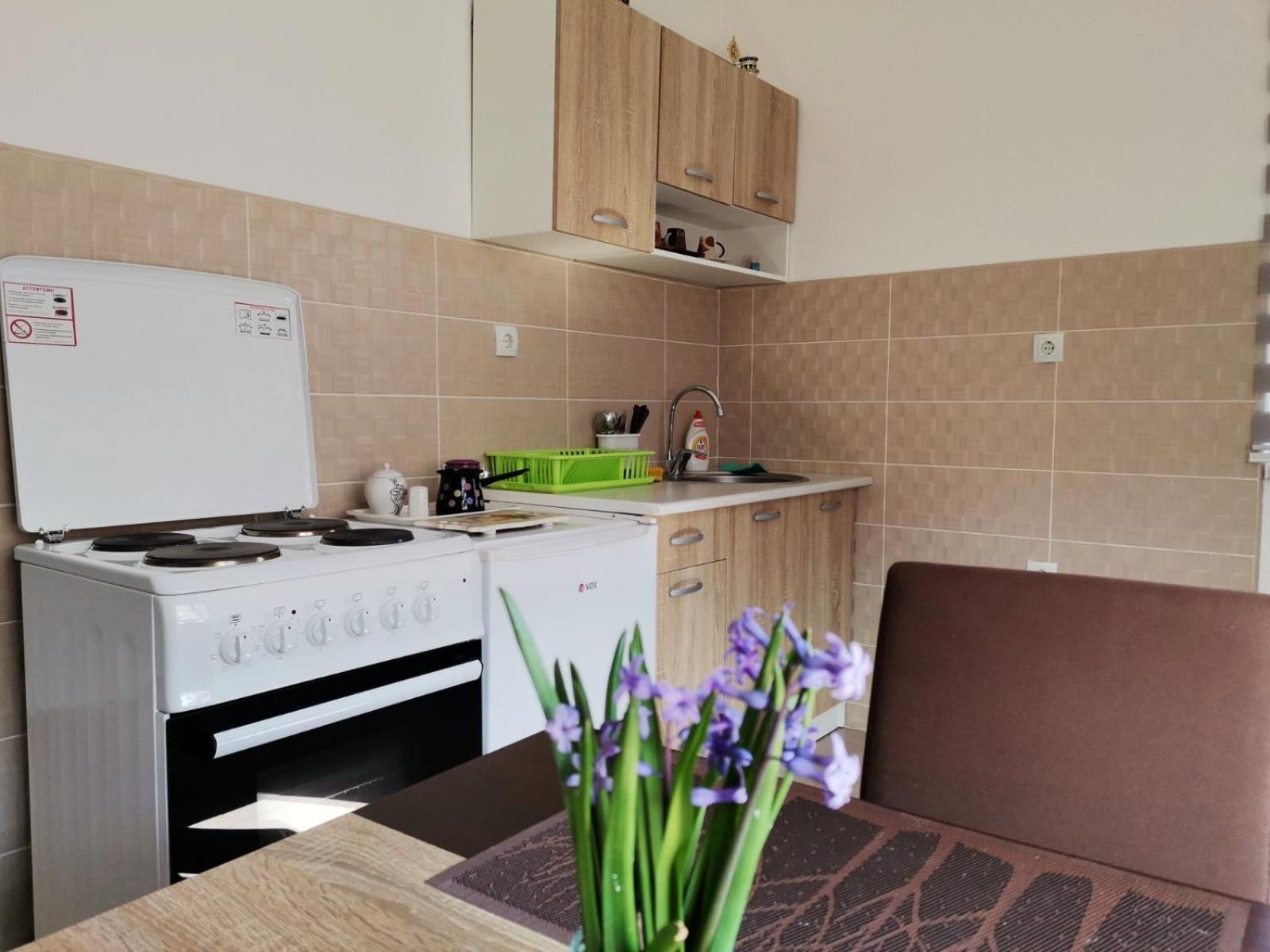 Apartman Poljcic Višegrad エクステリア 写真